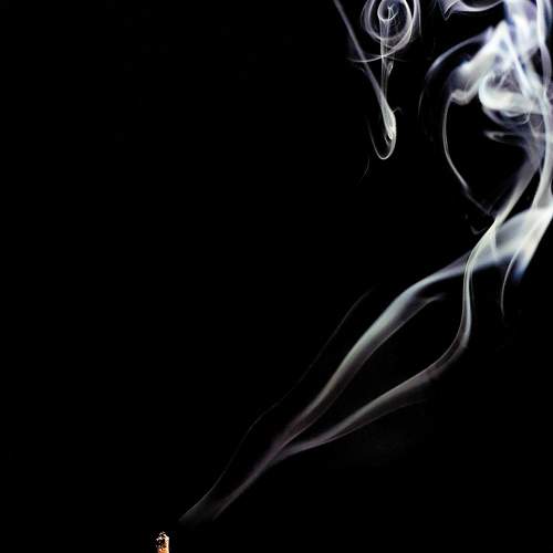 Photo #7099657