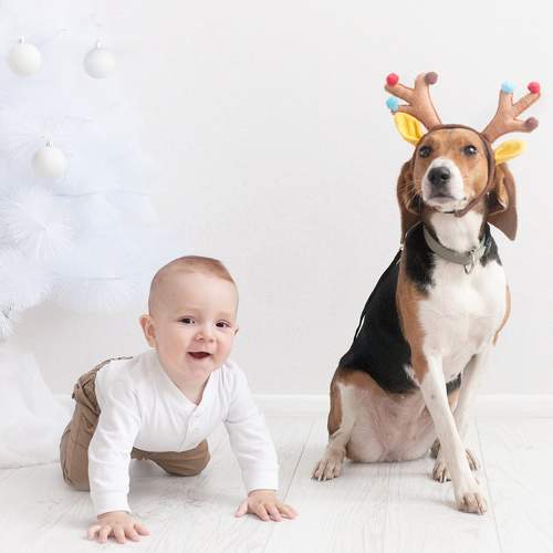 Photo #7099675