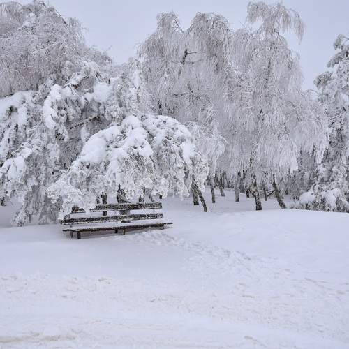 Photo #7099749