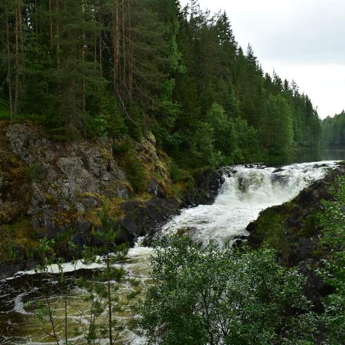 Photo #7100547