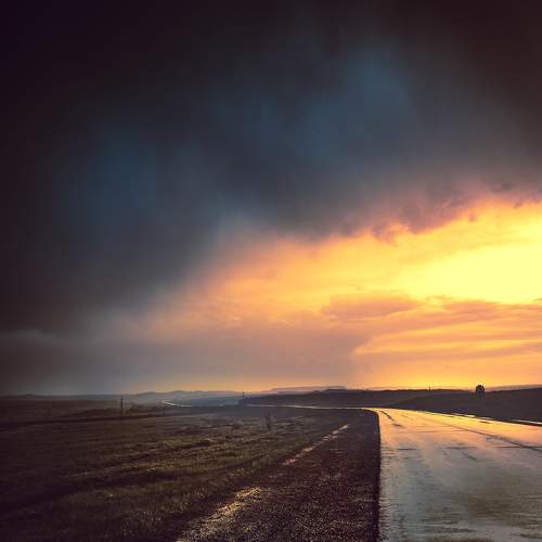 Photo #7100721