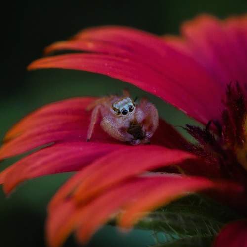 Photo #7100755