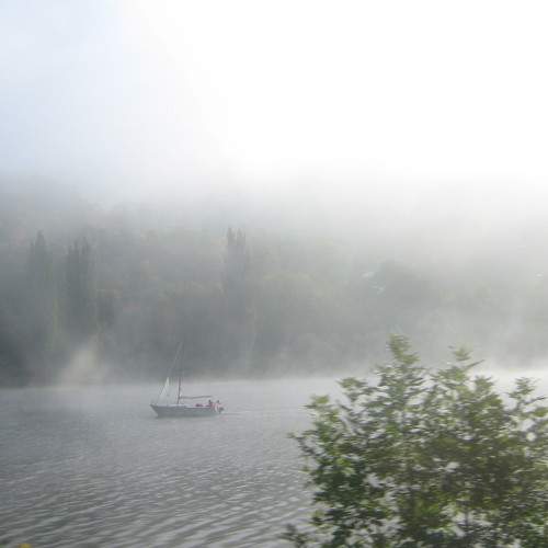 Photo #7101625