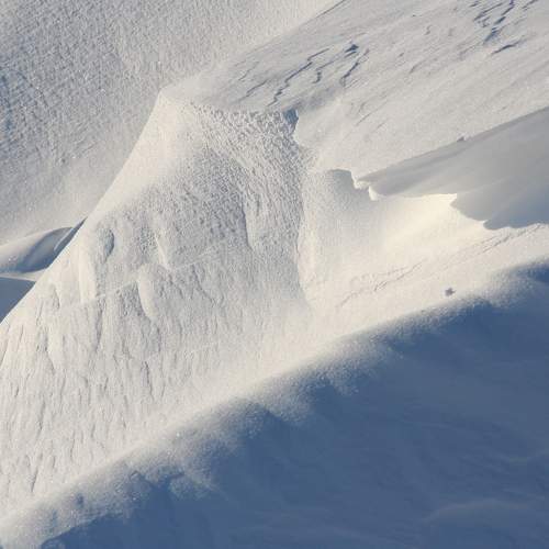 Photo #7101650