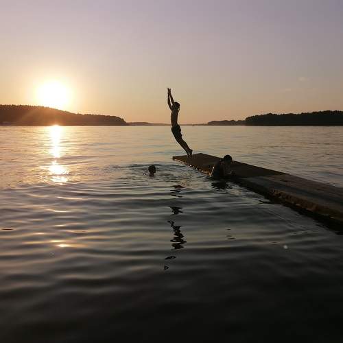 Photo #7101691