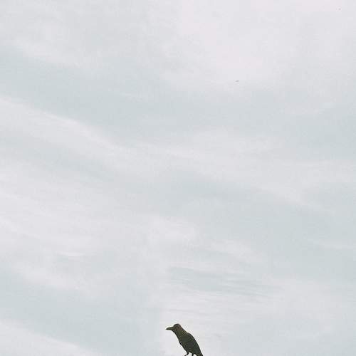 Photo #7101717