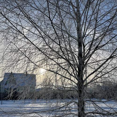 Photo #7101976