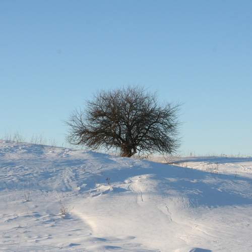 Photo #7102003