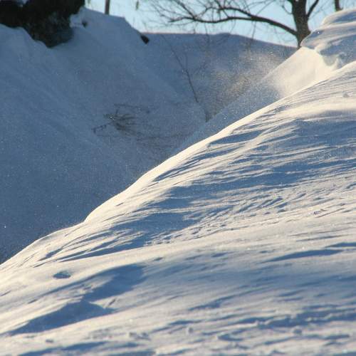 Photo #7102014