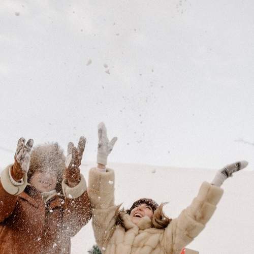 Photo #7102021