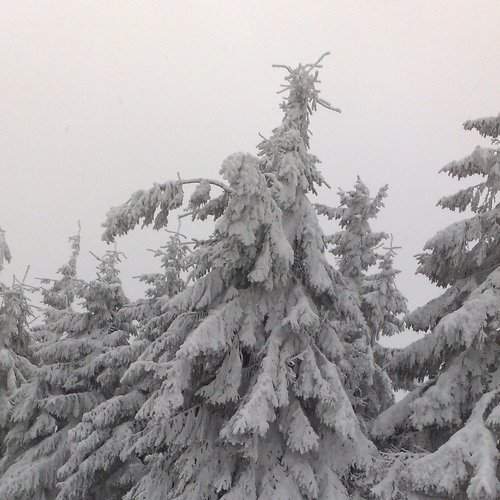 Photo #7102025