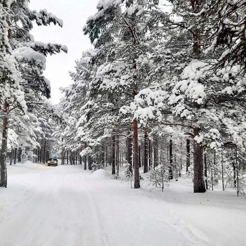 Photo #7102131