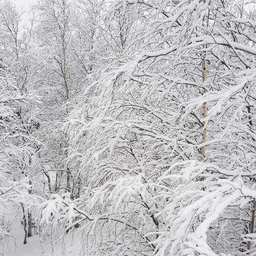Photo #7102132