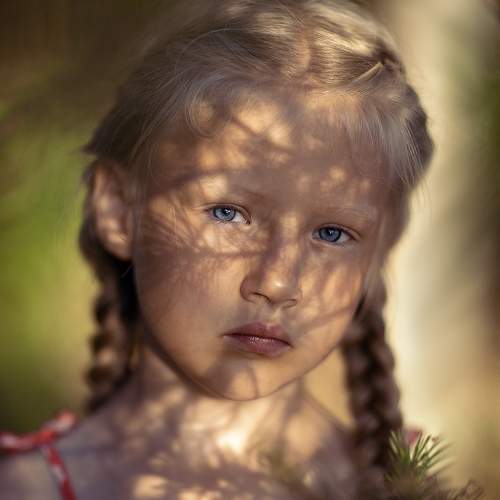 Photo #7102288