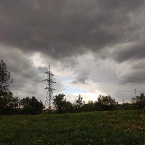 Photo #7102296