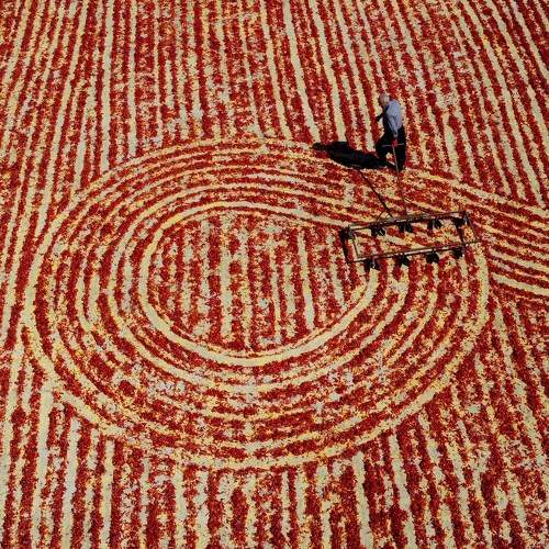 Photo #7102512