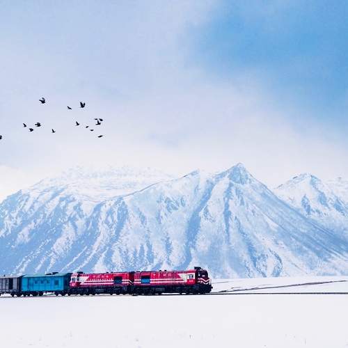 Photo #7102530