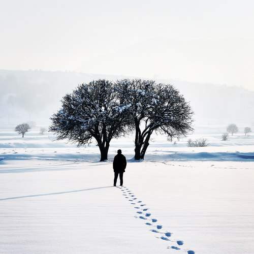Photo #7102532