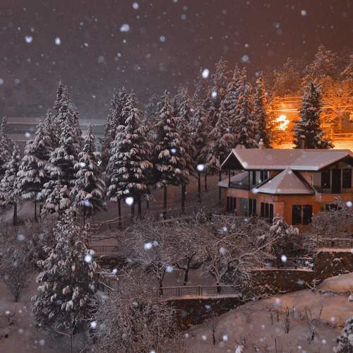 Photo #7102533