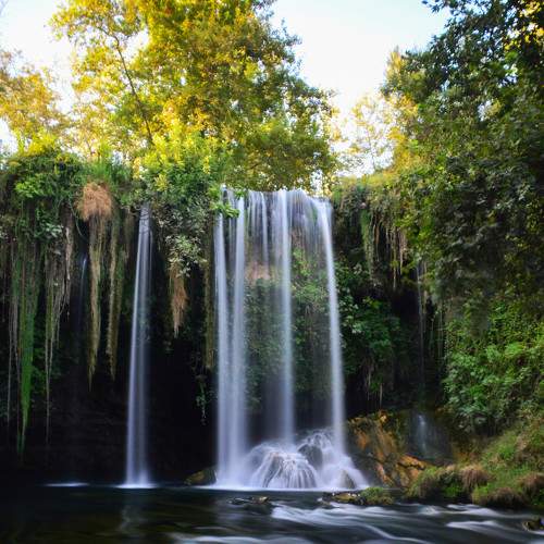 Photo #7102598