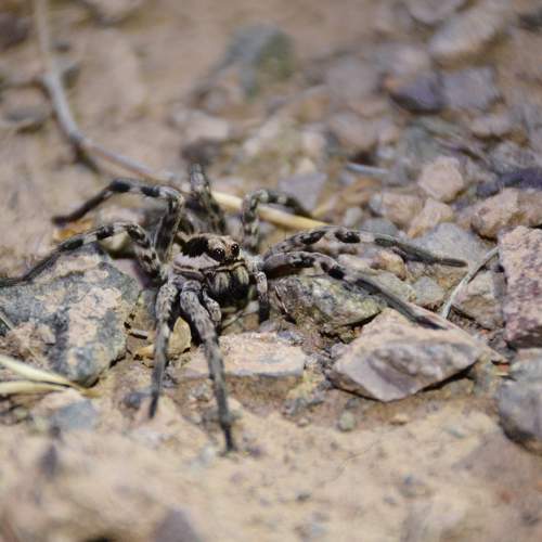 Photo #7103176