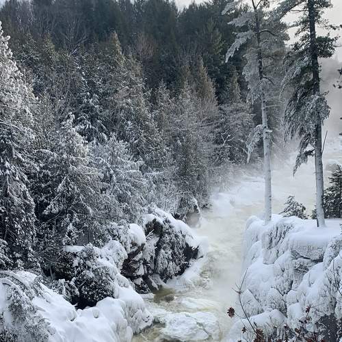 Photo #7103749