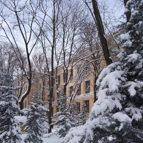 Photo #7103907