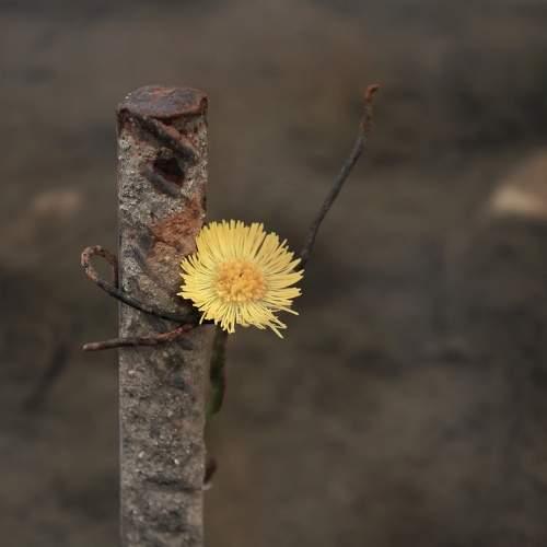 Photo #7103966