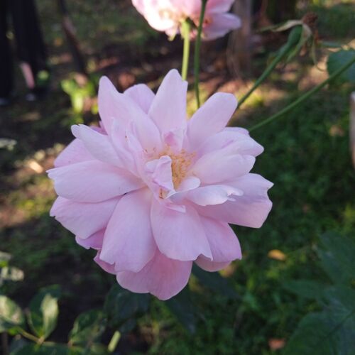 Photo #7103998
