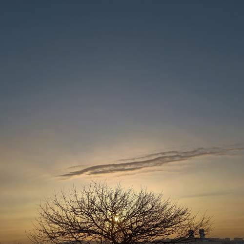 Photo #7104261