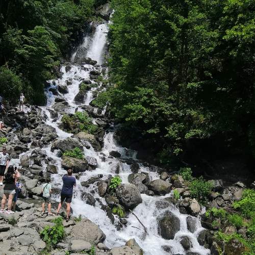 Photo #7104348