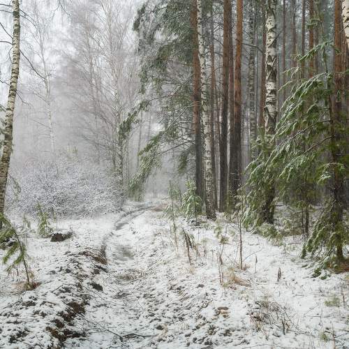 Photo #7104471