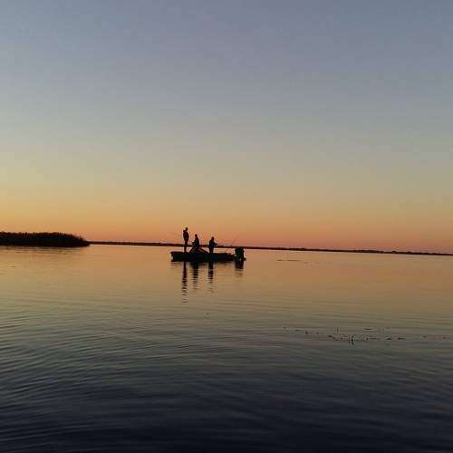Photo #7104646