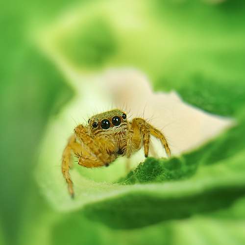 Photo #7104815