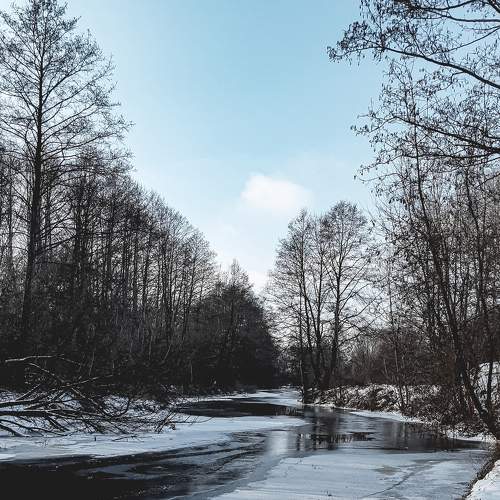 Photo #7104938