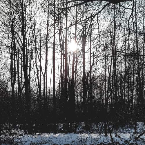 Photo #7104941