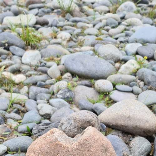 Photo #7105001