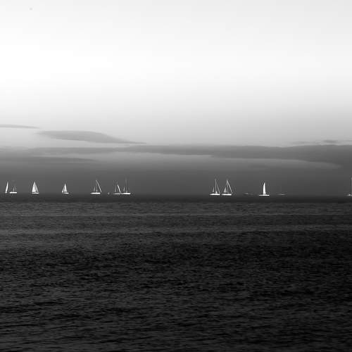Sailboats