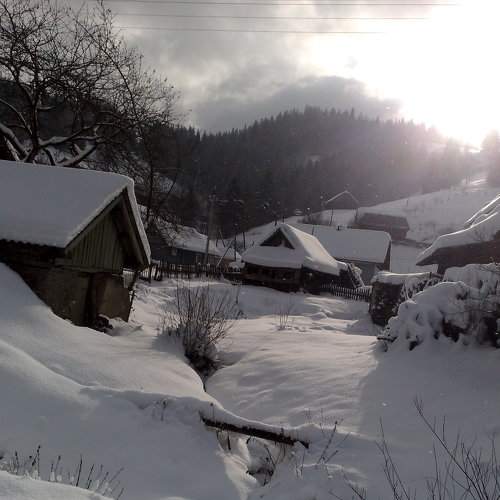Photo #7105272