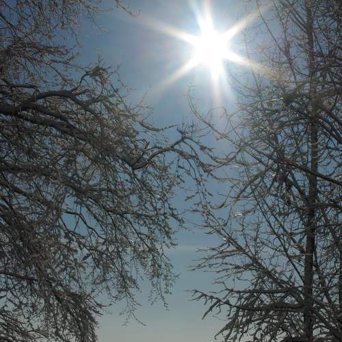 Photo #7105283