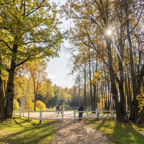 Прогулки в парке