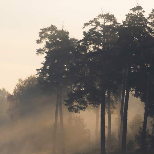 Photo #7105385