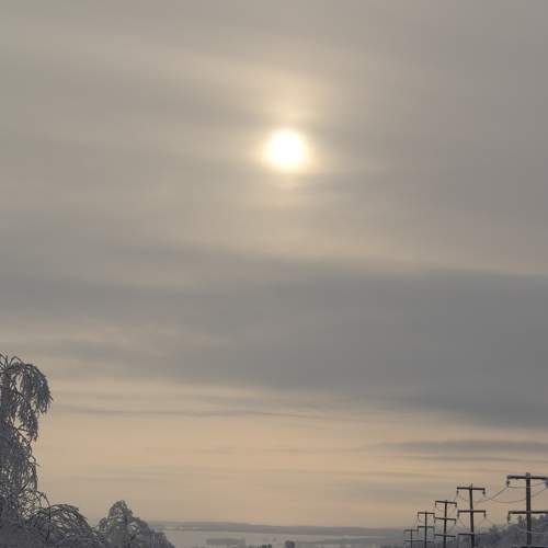 Photo #7105410