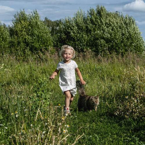 Photo #7105908