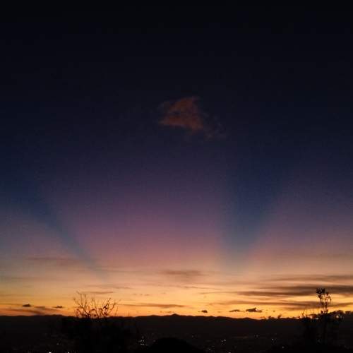 Photo #7106452