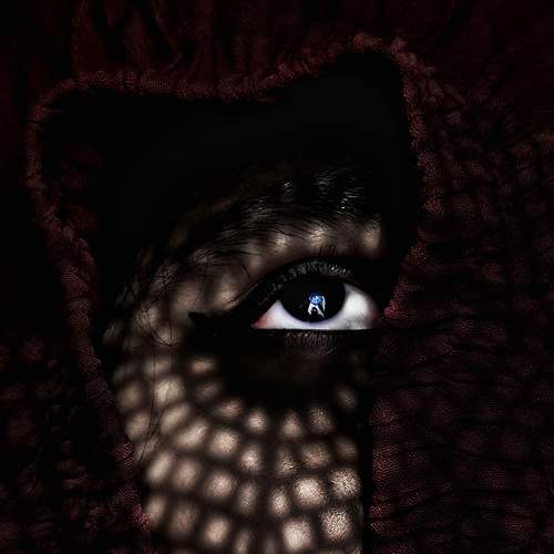 Photo #7106506
