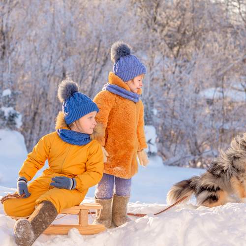 Photo #7106544