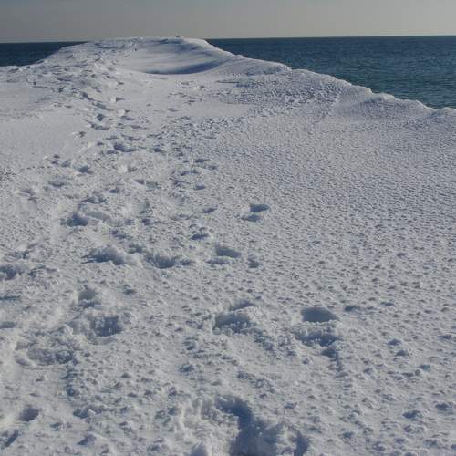 Photo #7106573