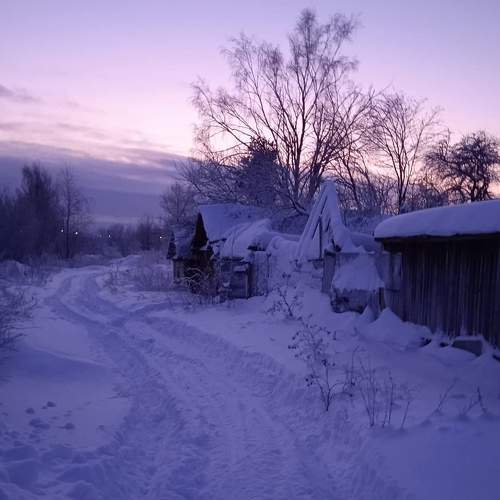 Photo #7106650
