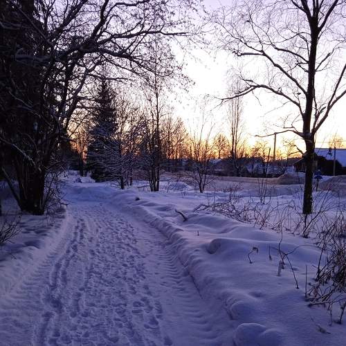 Photo #7106651